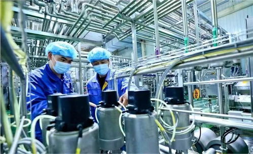 蘭州新區國慶假期生產不打烊，全力趕制訂單保障西安網絡需求